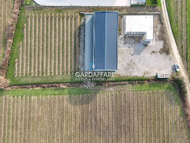 Foto Attività commerciale a Desenzano del Garda Entroterra di 4500 m²