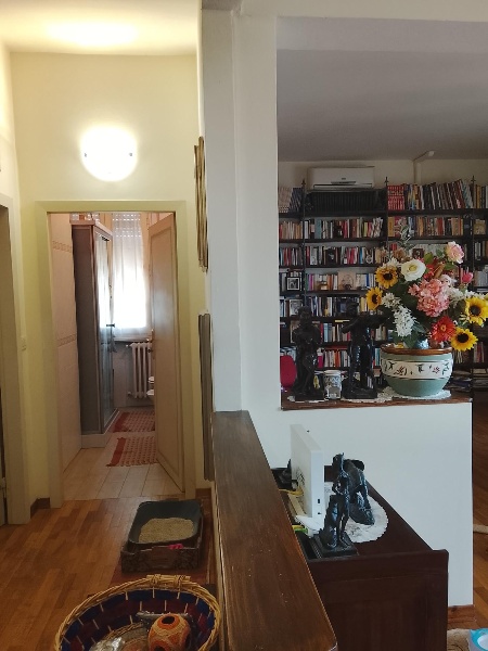 immagine annuncio 4 di 6