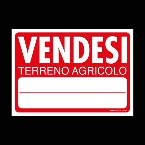 Foto Terreno agricolo a Vicopisano Centro di 1300 m² in vendita
