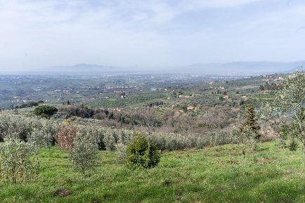 Foto Terreno agricolo a Vinci di 18450 m² in vendita