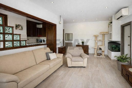 immagine annuncio 2 di 12