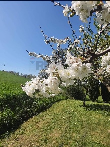 Foto Villa unifamiliare in Via Della Ripa, Gubbio di 260 m² con 4 locali
