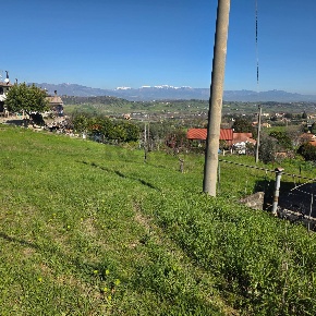 Foto Terreno agricolo in c.da Bonavita, San Marco Argentano Centro