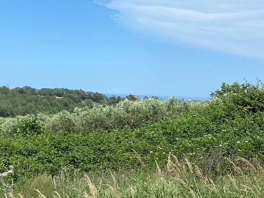 Foto Terreno agricolo in Contrada Strane snc, Cupello Centro di 16400 m²