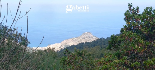 Foto Terreno agricolo in Via Piano Pero snc, Cefalù di 6300 m² in vendita