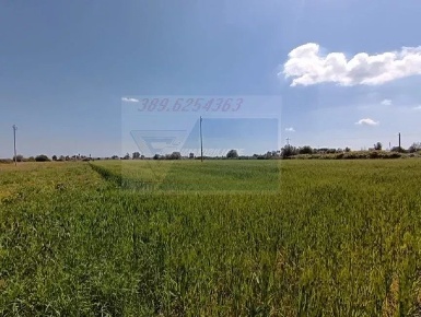 Foto Terreno in Strada Benali, Siracusa Tivoli in vendita