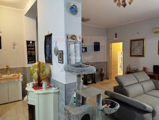 immagine annuncio 3 di 11