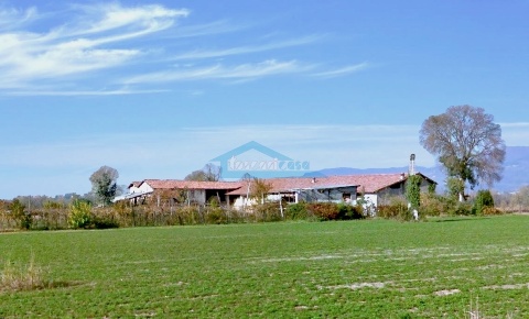Foto Casale in Via Venezia 26, Palazzolo sull'Oglio di 1750 m² in vendita