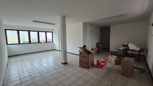 immagine annuncio 1 di 6