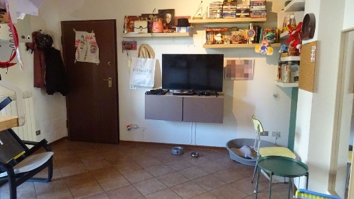 immagine annuncio 3 di 14