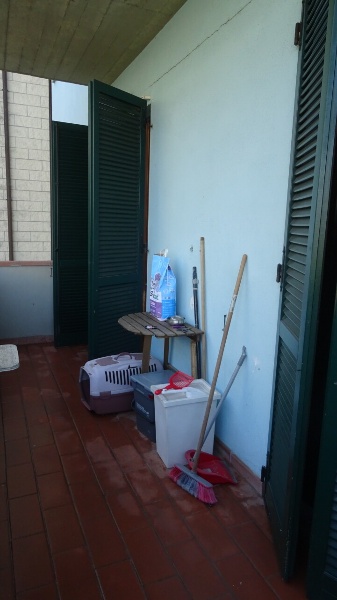 immagine annuncio 13 di 14