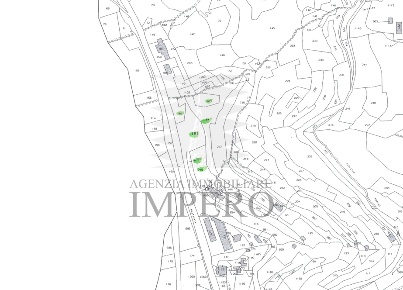 Foto Terreno agricolo in Corso Limone Piemonte snc, Ventimiglia di 5900 m²