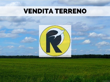 Foto Terreno agricolo a Brisighella in vendita