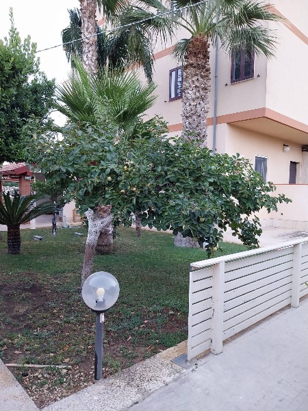 immagine annuncio 4 di 9