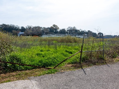 Foto Terreno residenziale in VIA VIRGILIO SNC, Ardea Ardea Paese di 5861 m²