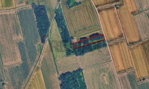 Foto Terreno agricolo in VIALE DELLA RESISTENZA SNC, Castano Primo Centro