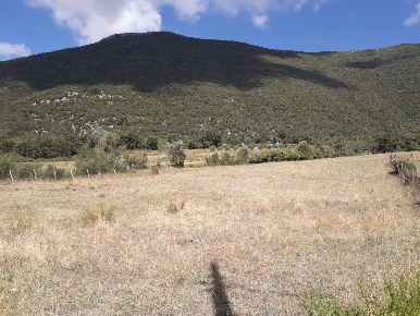Foto Terreno agricolo in via provinciale 13/A  trentinara 11, di 14850 m²