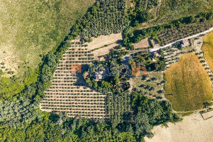 Foto Villa unifamiliare in via santa caterina 2, Acquaviva Picena di 330 m²