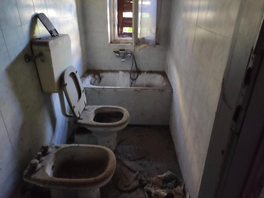 immagine annuncio 3 di 6