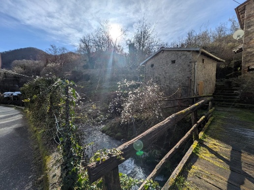 immagine annuncio 9 di 12