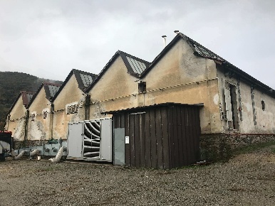 Foto Capannone industriale a Luserna San Giovanni Airali in vendita