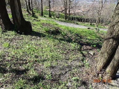 Foto Terreno edificabile in Via Della Boggia, Ello di 1900 m² in vendita
