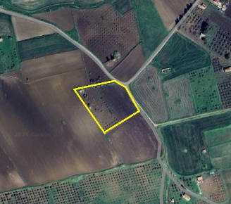 Foto Terreno agricolo in Contrada Realturco Seniazza Borsellino snc,