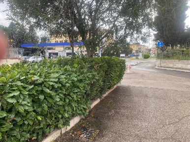 Foto Box in Donatori di Sangue, Terni Borgo Bovio di 25 m² con 1 locali