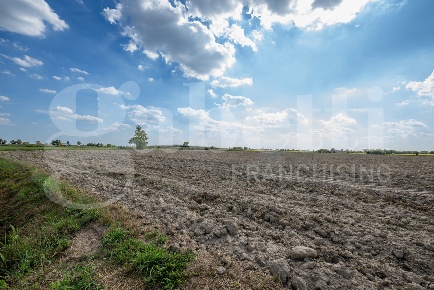Foto Terreno agricolo in Via Cortona 5, Este Schiavonia D'Este in vendita