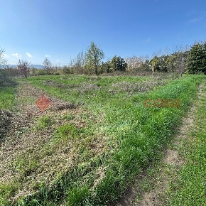 Foto Rustico in confine, Pistoia di 3360 m² con 1 locali in vendita