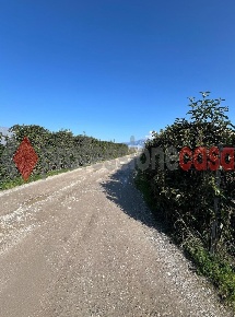 Foto Capannone industriale in Via Ceraso Del Tasso SNC, Battipaglia