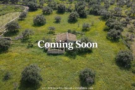 Foto Terreno agricolo a Noto in vendita
