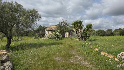 Foto Terreno agricolo in Traversa Grotta Perciata, Siracusa Tivoli
