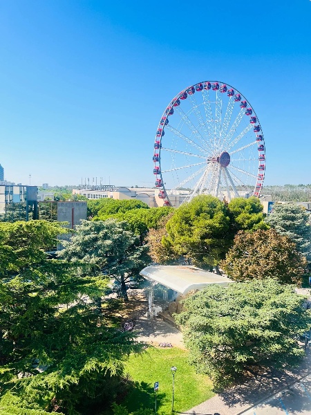 immagine annuncio 14 di 15