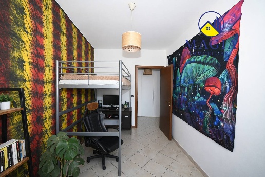 immagine annuncio 9 di 13