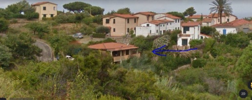 immagine annuncio 12 di 14