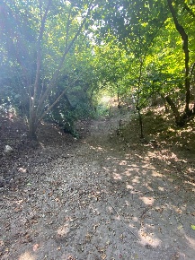 Foto Terreno agricolo a Palma Campania di 11857 m² in vendita