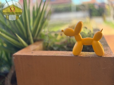 Foto Villa unifamiliare a Ponzano Veneto di 200 m² con 8 locali in vendita