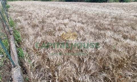 Foto Terreno agricolo a Recale Centro di 4840 m² in vendita