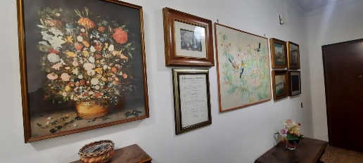 immagine annuncio 6 di 14