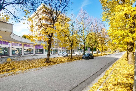 Foto Negozio in VIALE BOCCACCIO 38, Busto Arsizio Sant'Edoardo di 1200 m²