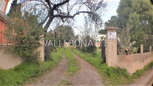 immagine annuncio 10 di 11