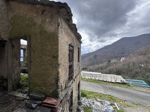 immagine annuncio 3 di 7