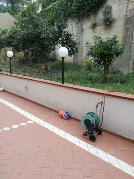 immagine annuncio 2 di 12