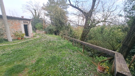 Foto Terreno agricolo a Peccioli Centro di 6000 m² in vendita