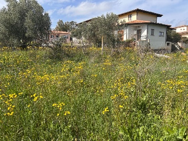 Foto Terreno residenziale a Luogosanto di 642 m² in vendita