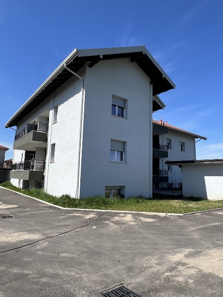 immagine annuncio 4 di 8