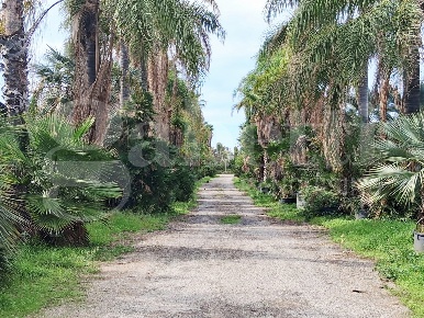 Foto Terreno agricolo in Contrada gaddimeli snc, Ragusa di 36490 m²