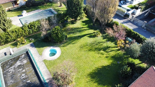 immagine annuncio 6 di 14