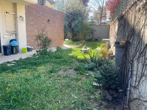 immagine annuncio 3 di 12